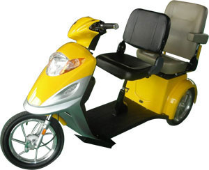 Electril Disable Vihicle (HMJH04)