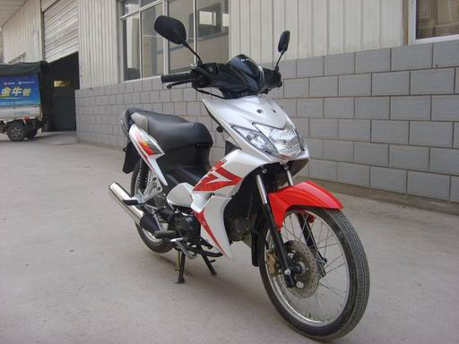 Motorcycle (Wing110)