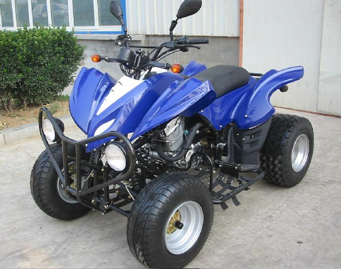 EEC / COC Approved 300cc ATV (FA300E)