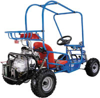 Go Kart With Super Quality (LZ-50 G-Kart)