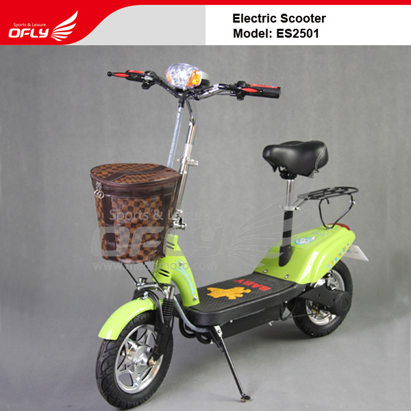 E Scooters SS2501