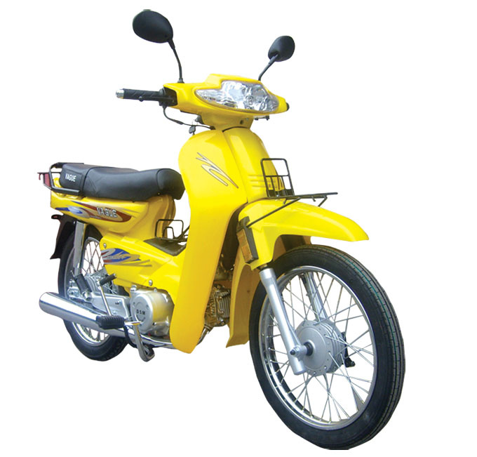 Motorcycle (JL110-1)
