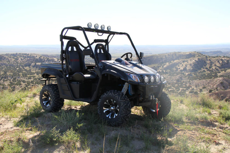 4X4 UTV 800cc Side by Side for Sale