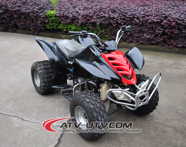 110cc 4 Wheeler Quad Bike (AT1101)