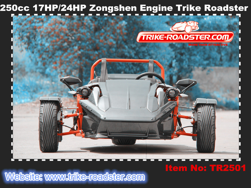 2015 New Style 250cc Water Cooled 3 Wheel Ztr Trike Roadster Tr2501