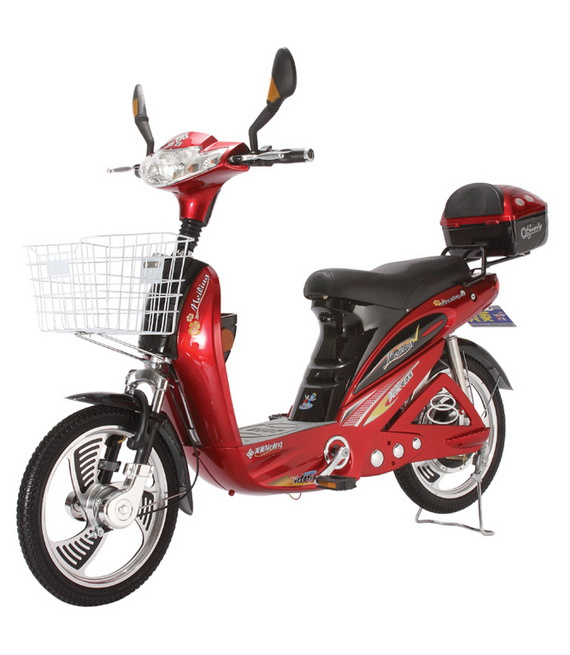 Pigeon Electric Bicycle