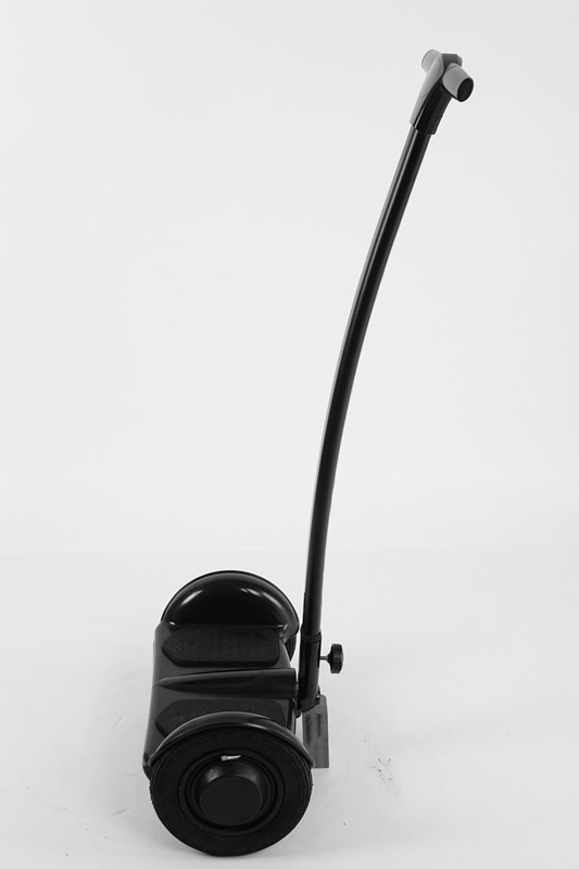 10 Inch Two Wheels Mini Self Balancing Electric Scooter