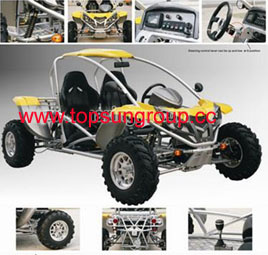 4W 500CC EEC Go Kart (TS-GK500)