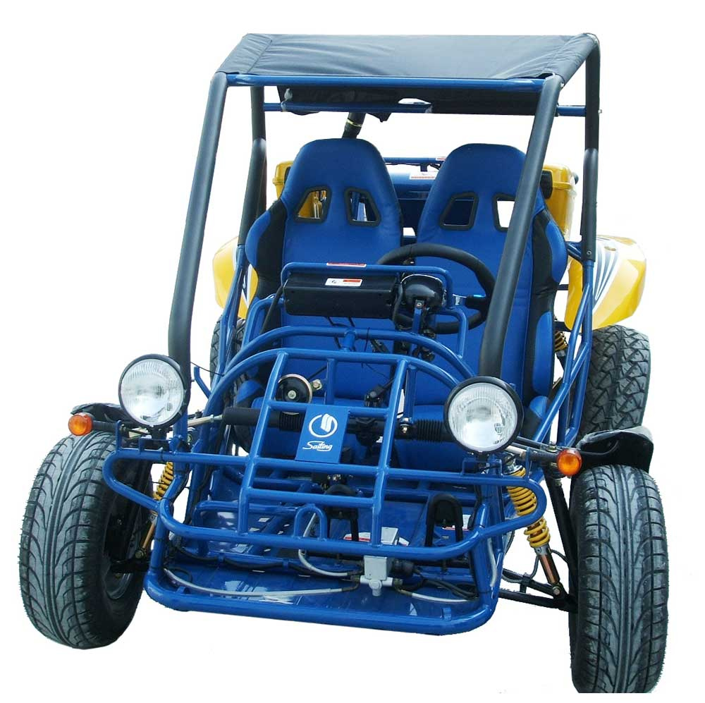 250CC Go Kart