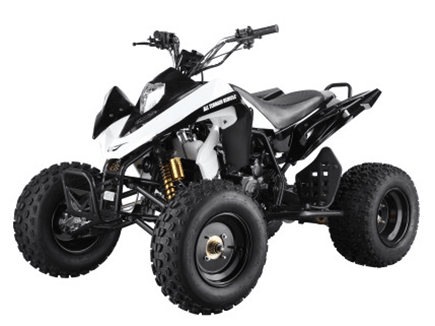 New Style 250CC ATV (GBTA61-250)