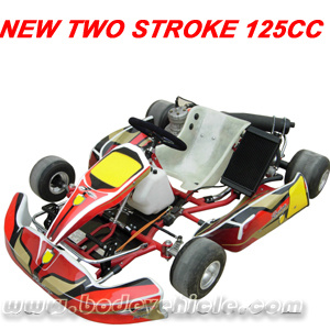 Two Stroke 125cc Racing Go Kart (MC-490)