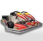 200cc Double Seat Hire Kart/Rental Kart for Teaching Usage
