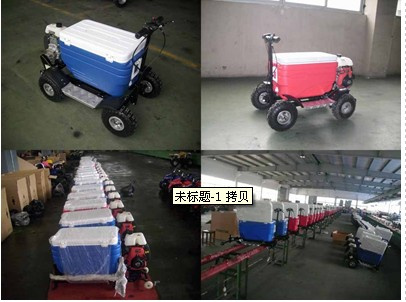 Mini Cooler Scooter (SX-G110)