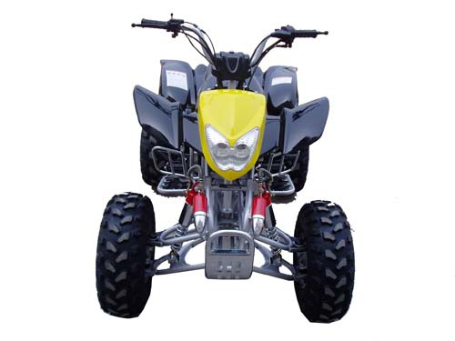 New Crocodile Style 200cc ATV (BFA-200B)