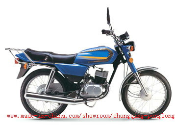 Motorcycle (AX100)