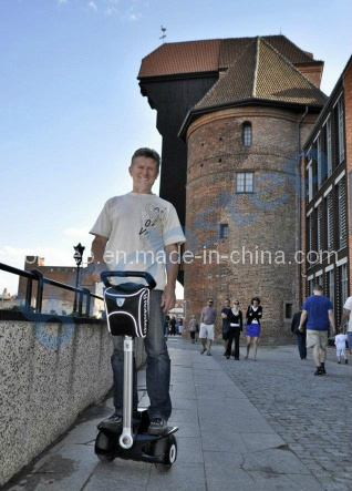 Mini Type Electric Scooters (Robin-M1)