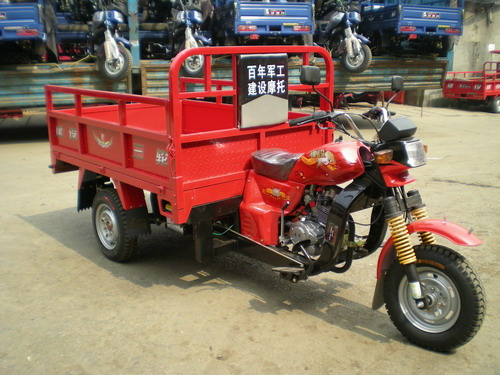 Cargo Tricycle