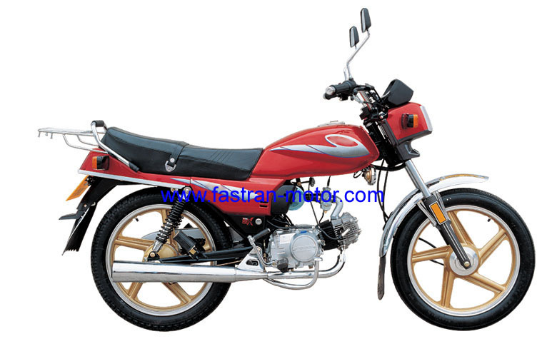 Motorcycle (FR100-C)
