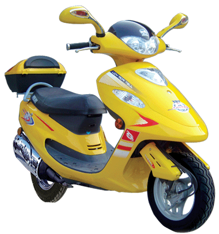 Gas Scooter - Small Shark C