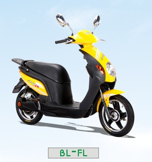 250W, 350W, 450W Pedal Electric Bike, Electric Scooter Bl-Fl