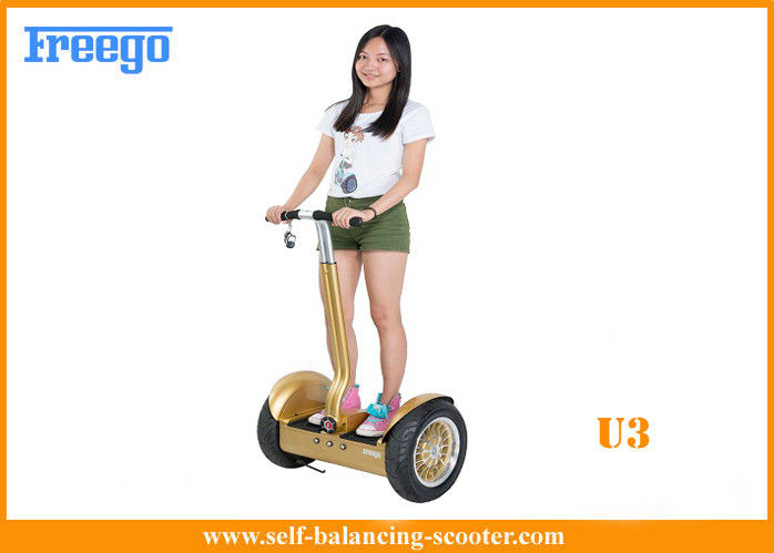 Electric Scooter with Pedals, 2 Wheel City-Road Electrical Scooter