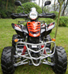 ATV(Quads)