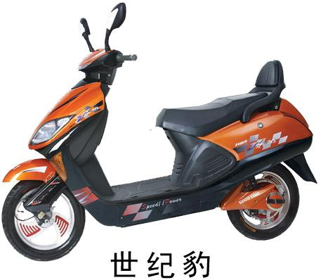 Electric Scooter (YRDZ12Z)