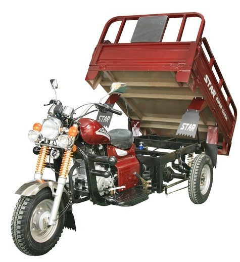 Cargo Tricycle