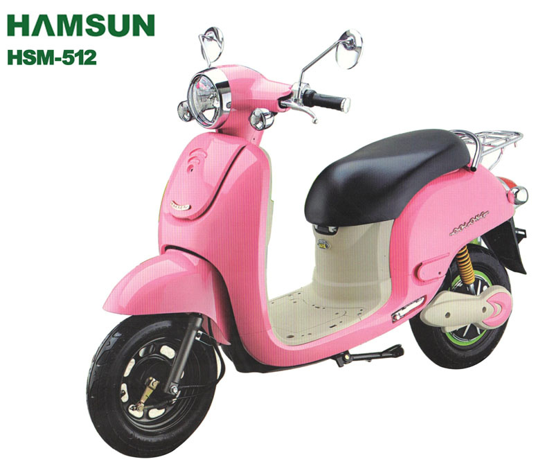 Electric Scooter (HSM-512)