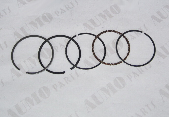 Std Piston Rings Set for 139fmb 50cc (ME021004-0230)