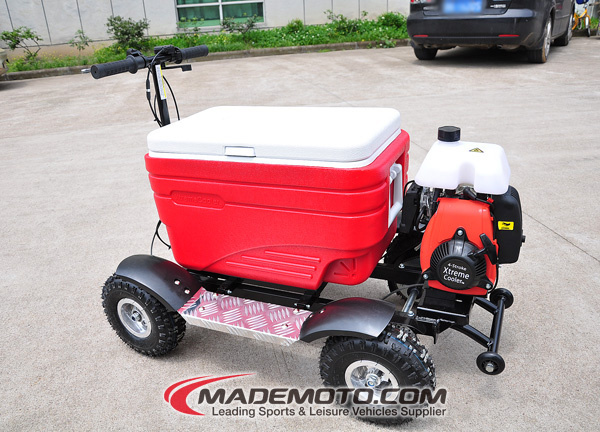 Cooler Scooter