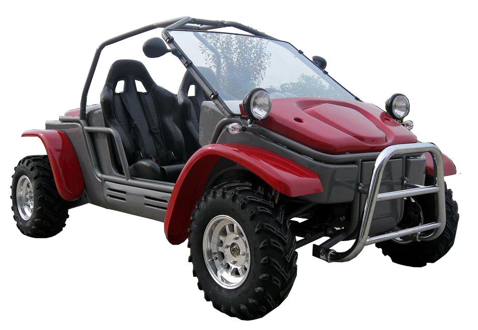 800CC EEC Go Kart (FPG800E-Y)