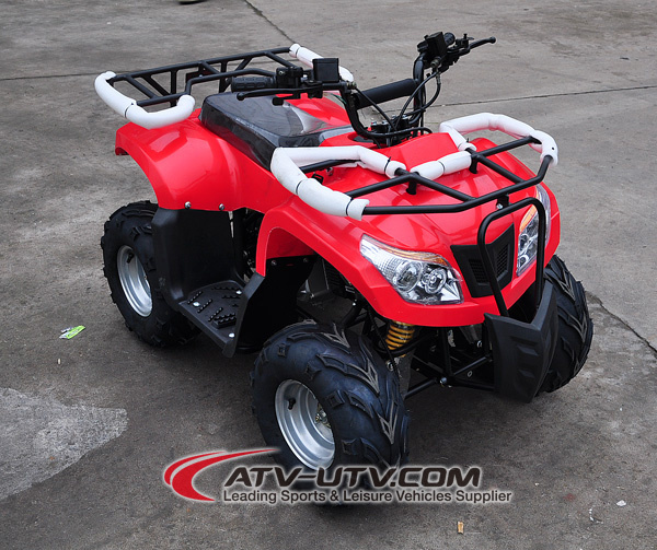 New 110cc ATV with Hydraulic Disc