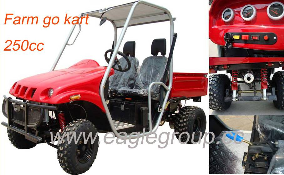 250cc Water Cooled Engine Farm Go Kart / UTV (YG-250GKD-2)