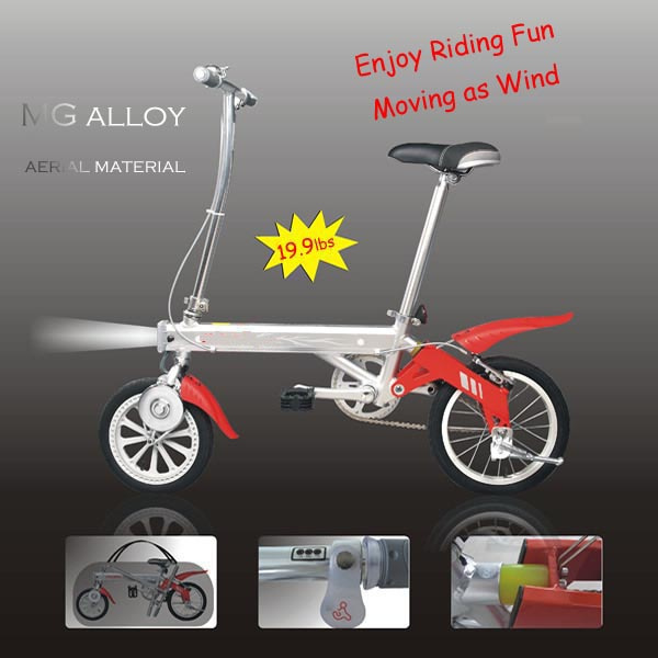 Electric Bike (DD01)