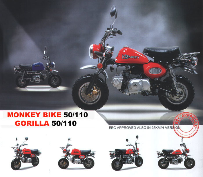 Monkey Bike