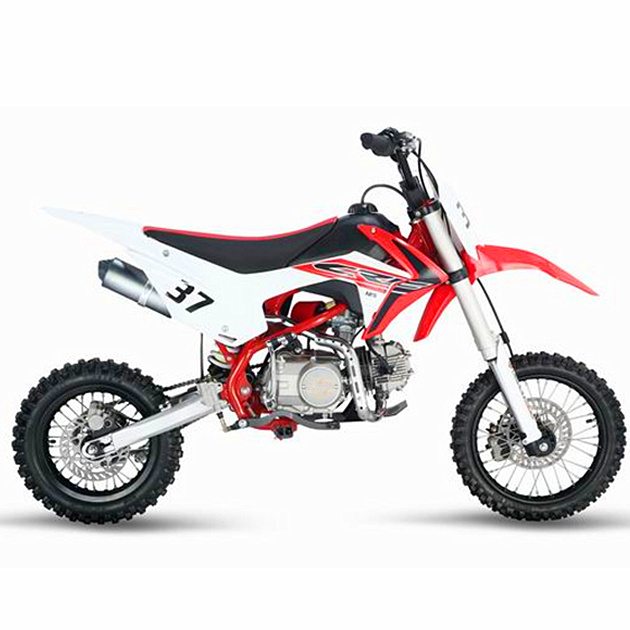 CE Approved 125cc Dirt Bike (DMD125-01)
