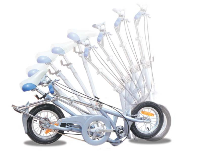 Folding Bike