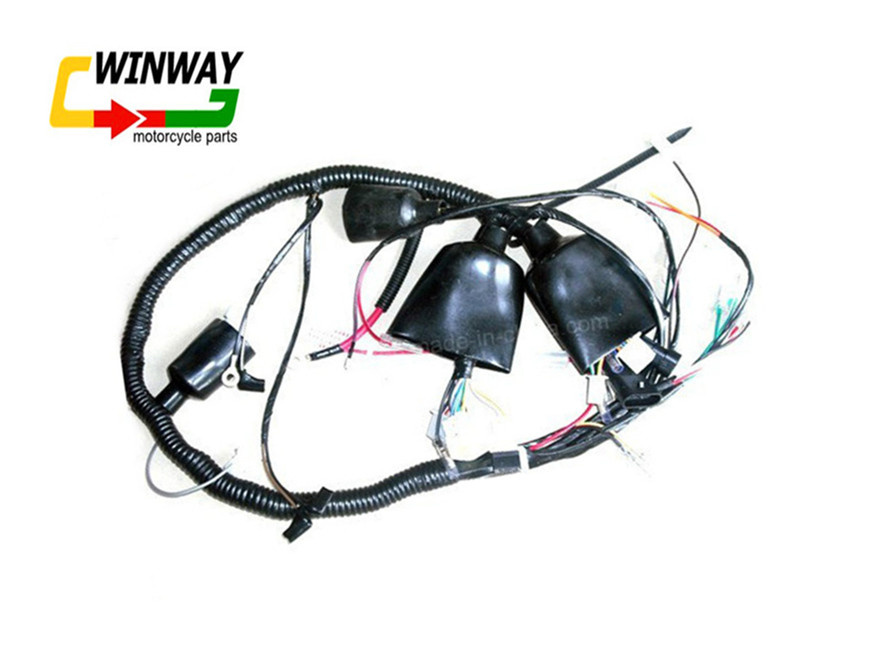 Ww-8806, Motorcycle Part, Motorbike Part, Motorcycle Wire Harness,