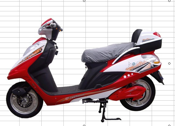 Electric Scooter DL015