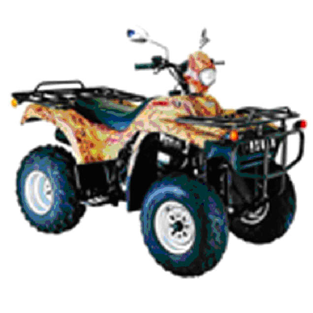 ATV/QUAD(EEC BFA-250B)