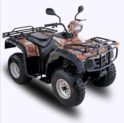 EEC 250CC ATV (For Two Persons)
