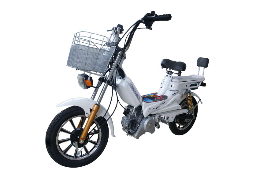 Hybrid Bike