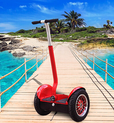 2 Wheel Self-Balanced China Electric Scooter