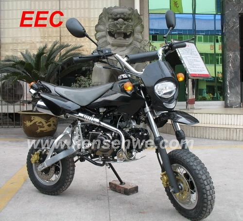 Dirt Bike (EEC125GYV)
