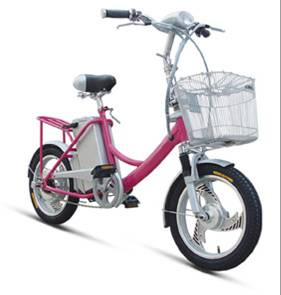 Electric Bike