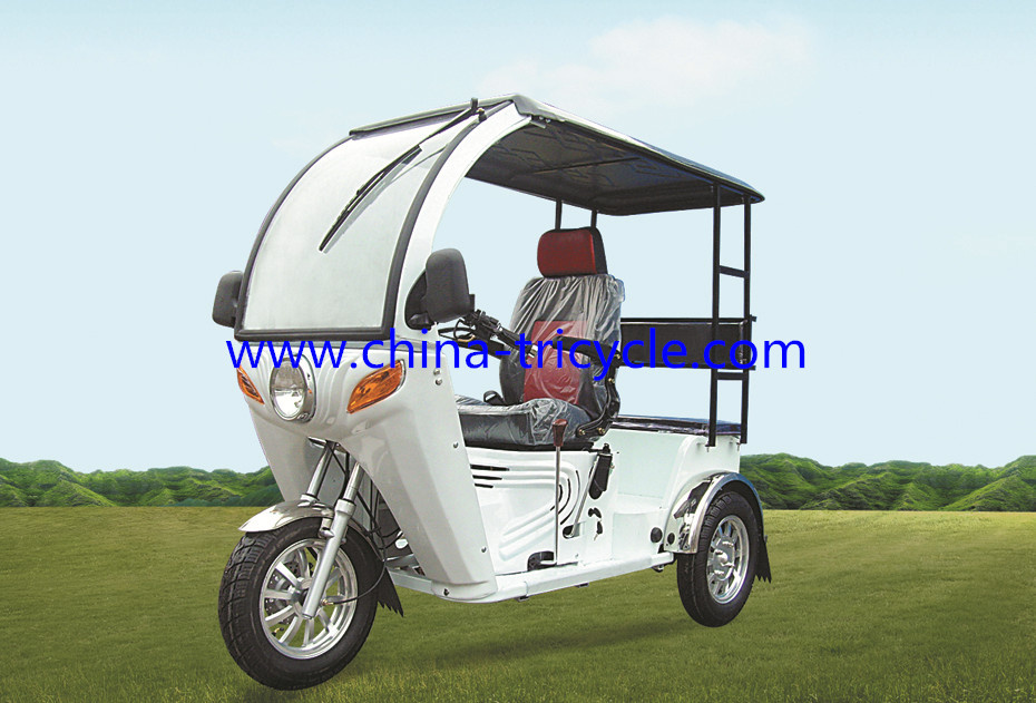 Handicapped Tricycle/Handicapped Scooter/Disabled Scooter (DTR-12B)