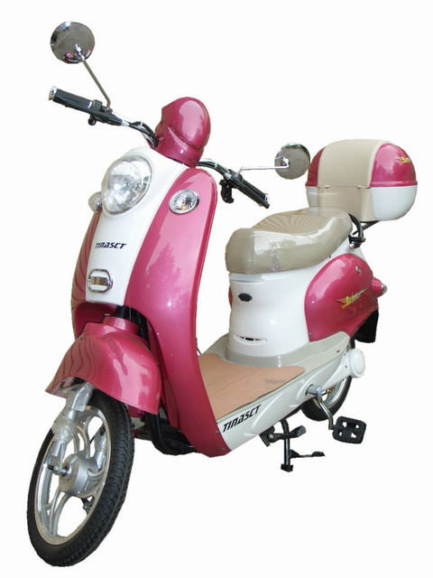 Electric Bike