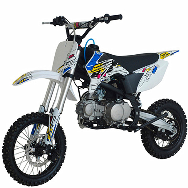 CE Approved 125cc Dirt Bike (DMD125-06)