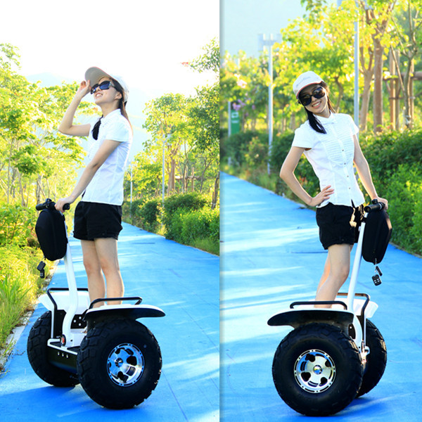 2 Wheel Adult Electric Scooter
